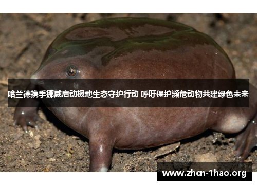 哈兰德携手挪威启动极地生态守护行动 呼吁保护濒危动物共建绿色未来 哈兰德携手挪威启动极地生态守护行动 呼吁保护濒危动物共建绿色未来