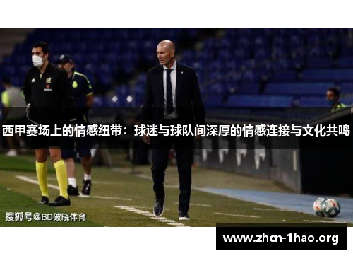 西甲赛场上的情感纽带：球迷与球队间深厚的情感连接与文化共鸣
