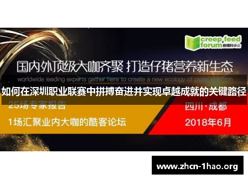 如何在深圳职业联赛中拼搏奋进并实现卓越成就的关键路径