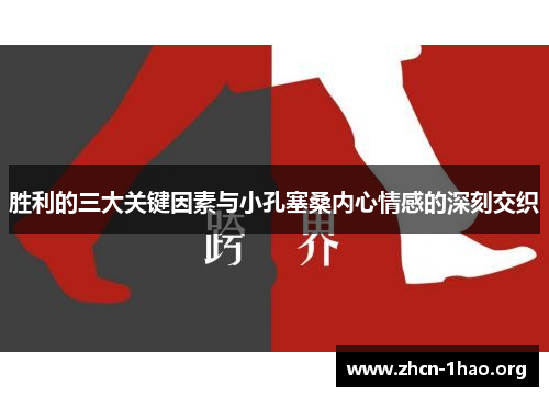 胜利的三大关键因素与小孔塞桑内心情感的深刻交织 胜利的三大关键因素与小孔塞桑内心情感的深刻交织